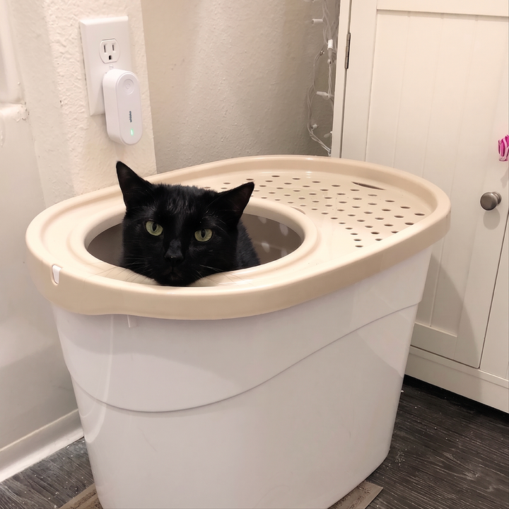 Review by Mimi