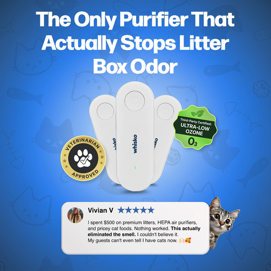LitterGuard Pro