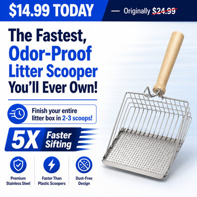 Premium Stainless Steel Litter Scooper
