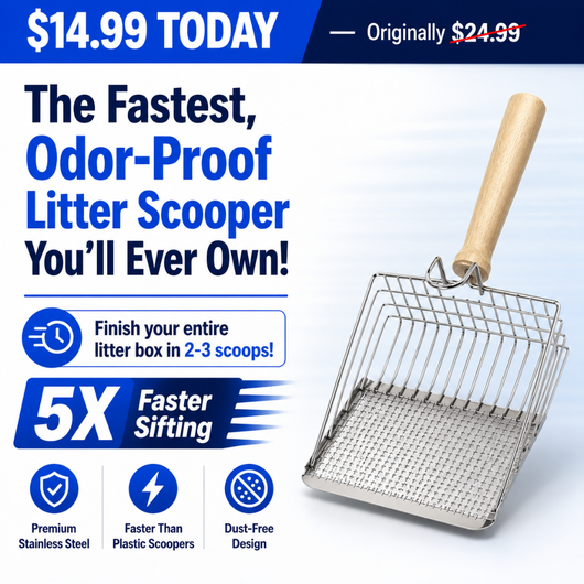 Premium Stainless Steel Litter Scooper
