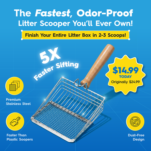 Premium Stainless Steel Litter Scooper