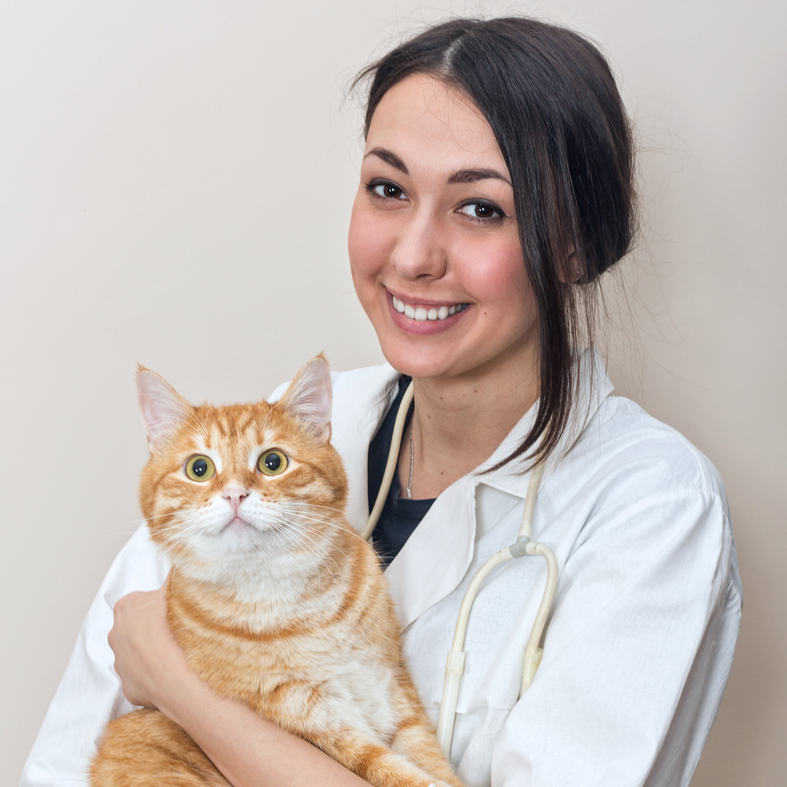 Hear From Dr. Sarah Mitchell, DVM